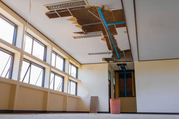 Best Local water damage restoration  in Oxford, AL