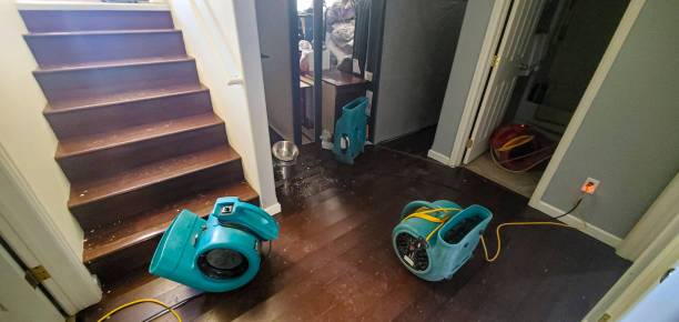Best Professional water damage repair  in Oxford, AL