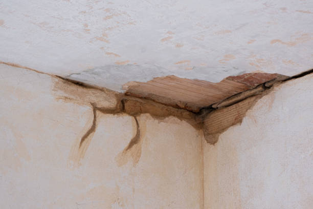 Water damage restoration mold remediation in Oxford, AL