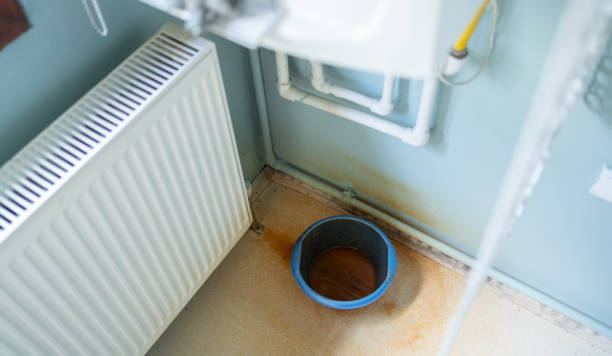 Best Water damage cleanup near me  in Oxford, AL